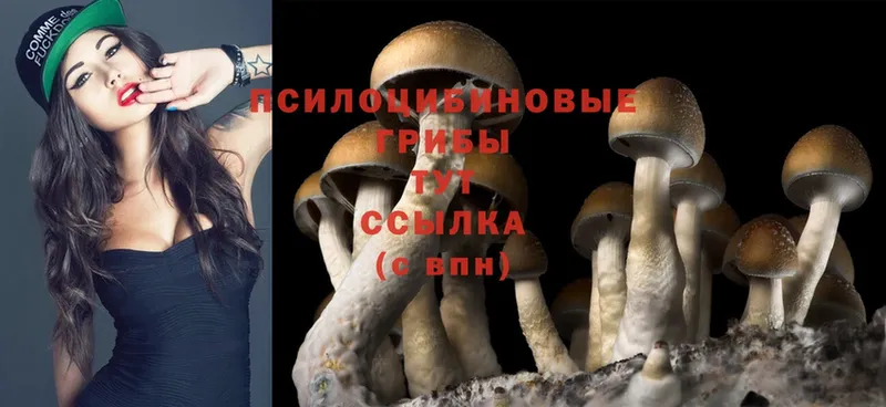 MEGA ONION  Лысково  Галлюциногенные грибы MAGIC MUSHROOMS 